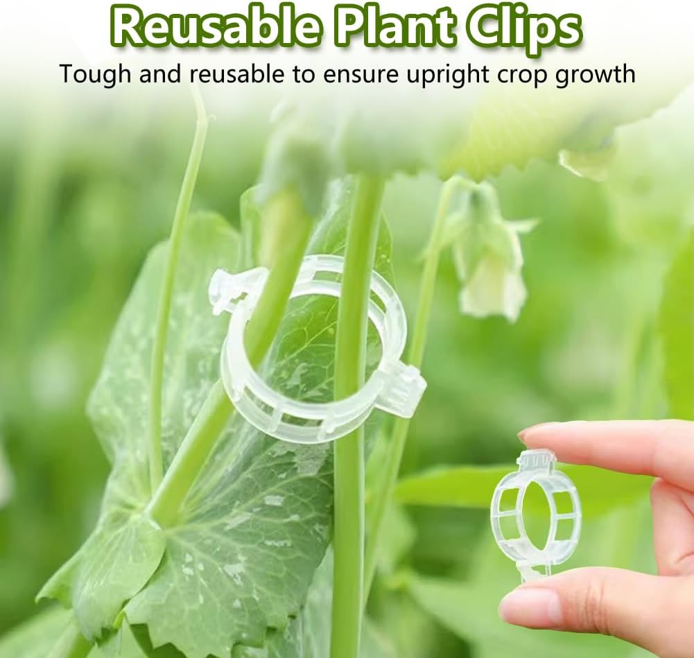 100PCS Plant Support Clips Reu - Home Improvement Hardware ulasan dan harga